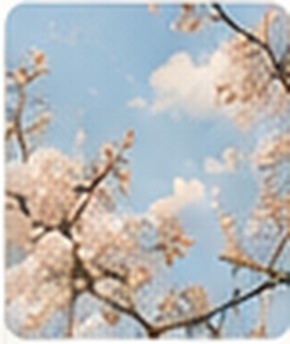 화사한 봄 풍경